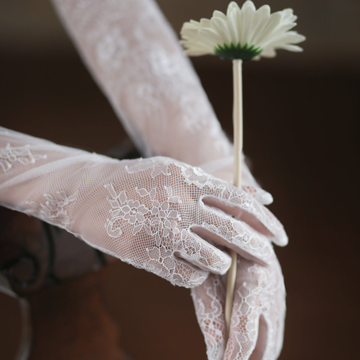 Lace Long Bridal Gloves - Lya's wedding