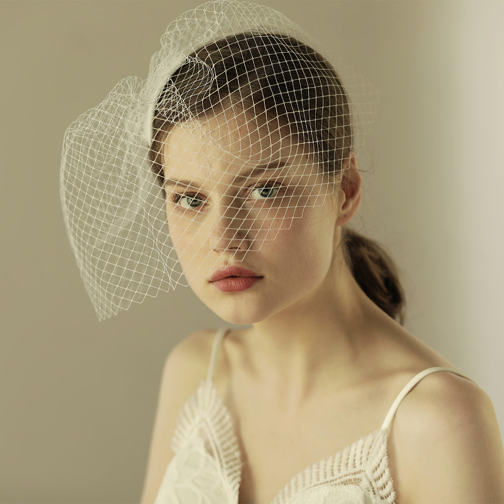 Mesh Birdcage Bridal Veil - Lya's wedding