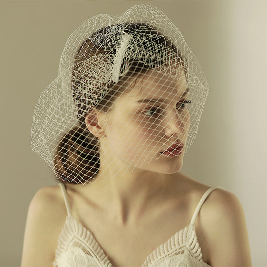 Mesh Birdcage Bridal Veil - Lya's wedding